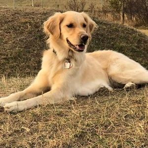 Meet your Posher, Wendy